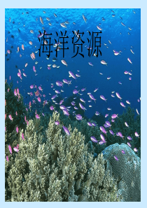 海洋资源与海洋环境保护