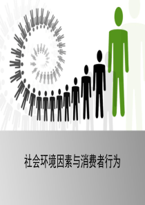 消费的社会环境因素