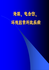 淹溺、电击伤、环境因素