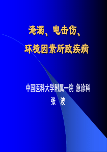 淹溺、电击伤、环境因素所致疾病