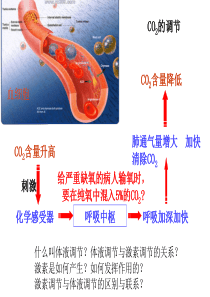 激素调节与内环境(一轮)