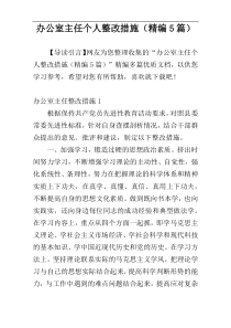 办公室主任个人整改措施（精编5篇）