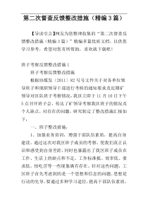 第二次督查反馈整改措施（精编3篇）