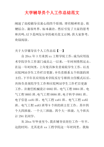 大学辅导员个人工作总结范文