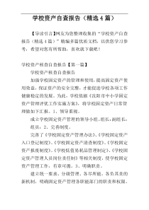 学校资产自查报告（精选4篇）