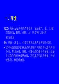 环境与组织