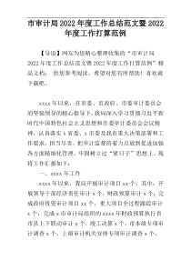 市审计局2022年度工作总结范文暨2022年度工作打算范例