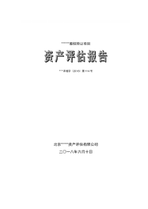 股权转让资产评估报告模板