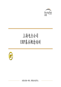 ERP基本概念培训--上海电力公司(pdf 65)