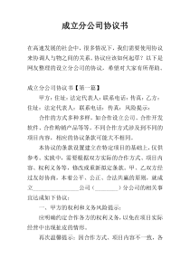 成立分公司协议书