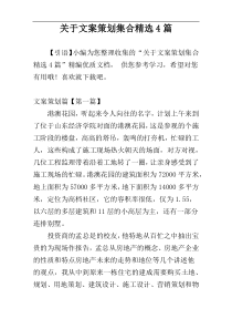 关于文案策划集合精选4篇