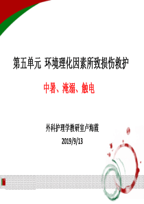 环境理化因素所致损伤救护中暑淹溺触电