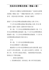 党组织纪律整改措施（精编4篇）