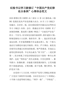 纪检书记学习新修订“中国共产党纪律处分条例”心得体会范文