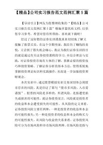 【精品】公司实习报告范文范例汇聚5篇