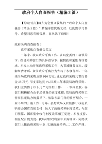 政府个人自查报告（精编3篇）