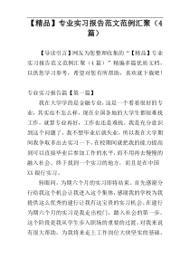 【精品】专业实习报告范文范例汇聚（4篇）