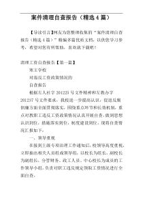 案件清理自查报告（精选4篇）