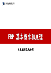 ERP基础