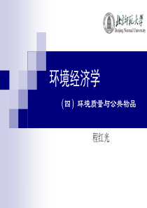 环境经济学4环境质量与公共物品-北师大程红光