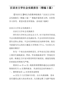 汉语言文学社会实践报告（精编3篇）