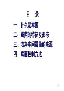 环境霉菌控制（PPT30页)