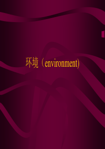 环境（environment)