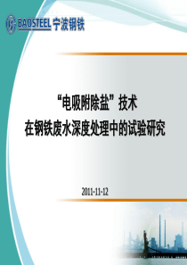 电吸附技术在钢铁废水深度处理中的试验研究