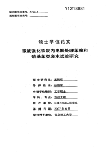 硕士论文-微波强化铁炭内电解处理苯胺和硝基苯类废水试验研究