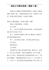 保险公司整改措施（最新4篇）