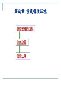 第3章 信息管理环境