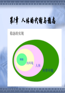 第二章第一节人体的代谢与稳态一内环境与稳态