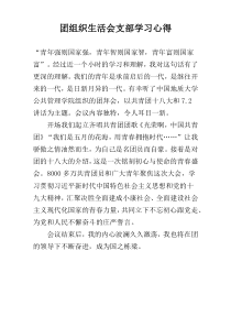 团组织生活会支部学习心得