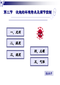 第二节设施的环境特点及调节控制