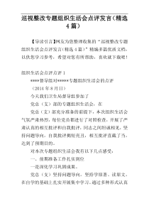 巡视整改专题组织生活会点评发言（精选4篇）