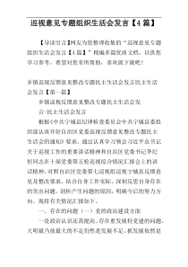 巡视意见专题组织生活会发言【4篇】