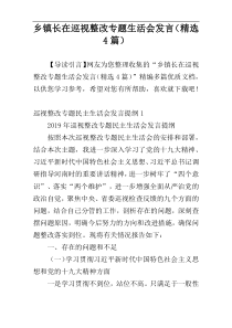 乡镇长在巡视整改专题生活会发言（精选4篇）