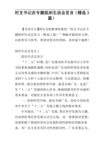 村支书记在专题组织生活会发言（精选3篇）