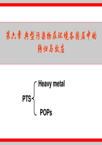 第六章 典型污染物在环境各圈层中的转归与效应