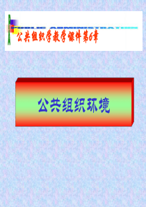 第六章：公共组织环境