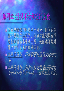 组织环境和组织文化(1)