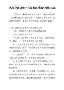 执行少数决策不充分整改措施（精编2篇）