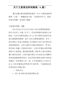 关于文案策划样例集锦（4篇）