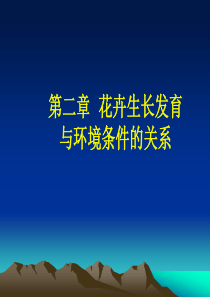 花卉生长发育与环境条件的关系