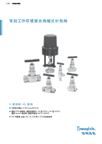 苛刻工作环境联合阀帽式针形阀,n系列和hn系列,(m