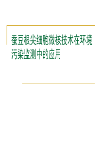 蚕豆根尖细胞微核技术在环境污染监测中应用