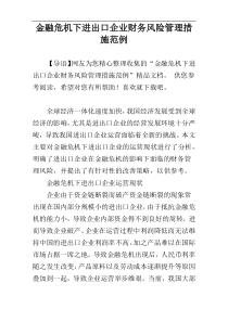 金融危机下进出口企业财务风险管理措施范例