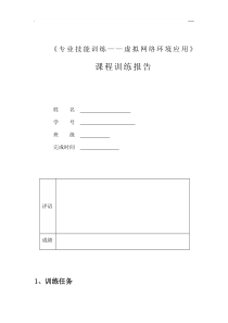 虚拟网络环境应用