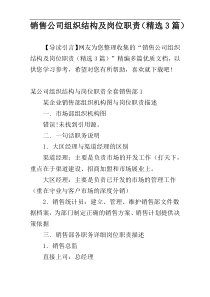 销售公司组织结构及岗位职责（精选3篇）