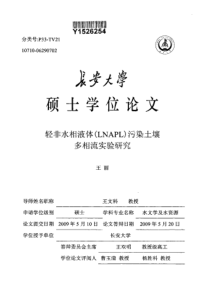 轻非水相液体LNAPL污染土壤多相流实验研究